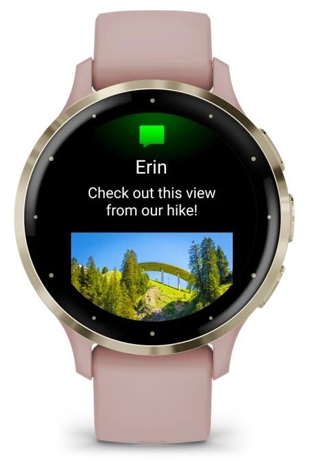 Garmin Venu 3S Розовые с Золотистым Безелем (010-02785-03)