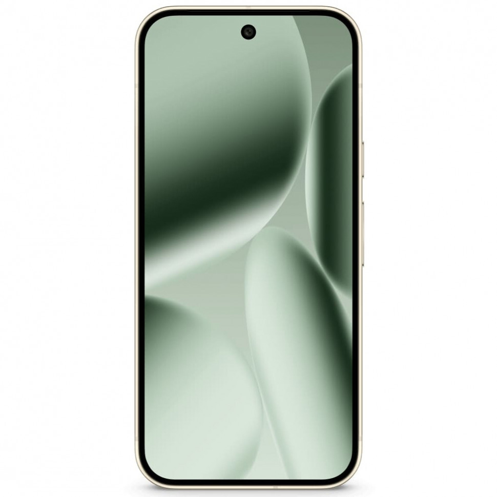 Google Pixel 10 Pro 16/128Gb Мятный 5G