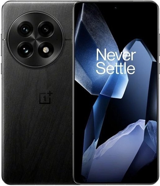 OnePlus 13 12/256Gb Черный 5G