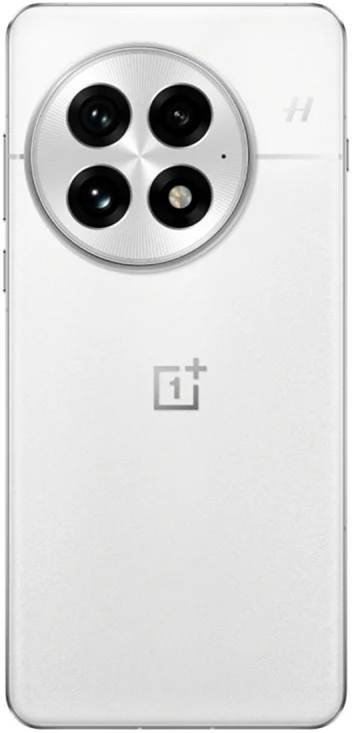 OnePlus 13 12/256Gb Белый 5G