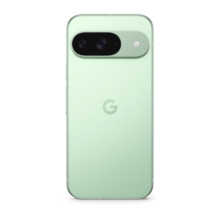 Google Pixel 9 12/128Gb Зеленый 5G