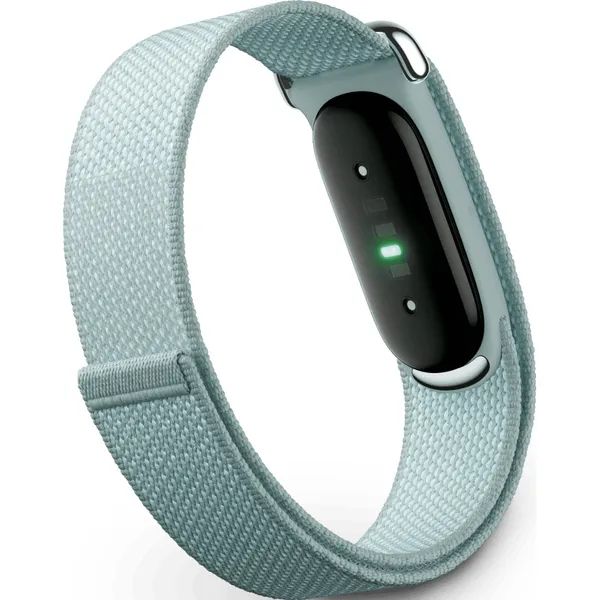 Трекер Google Fitbit Air Голубой
