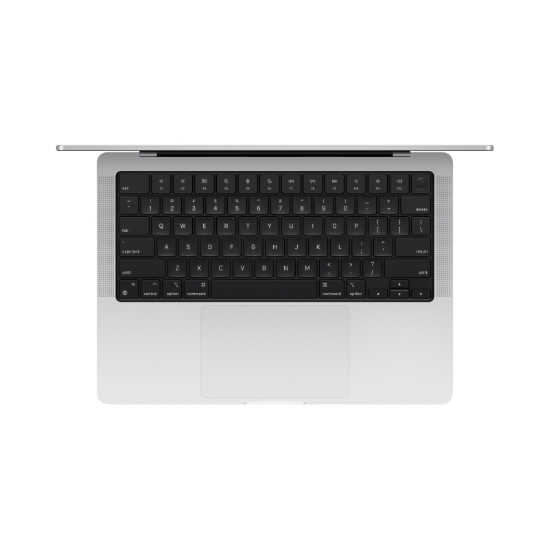 MacBook Pro 14 2024 M4 10C CPU/16/1Tb/10C GPU Серебристый MW2X3