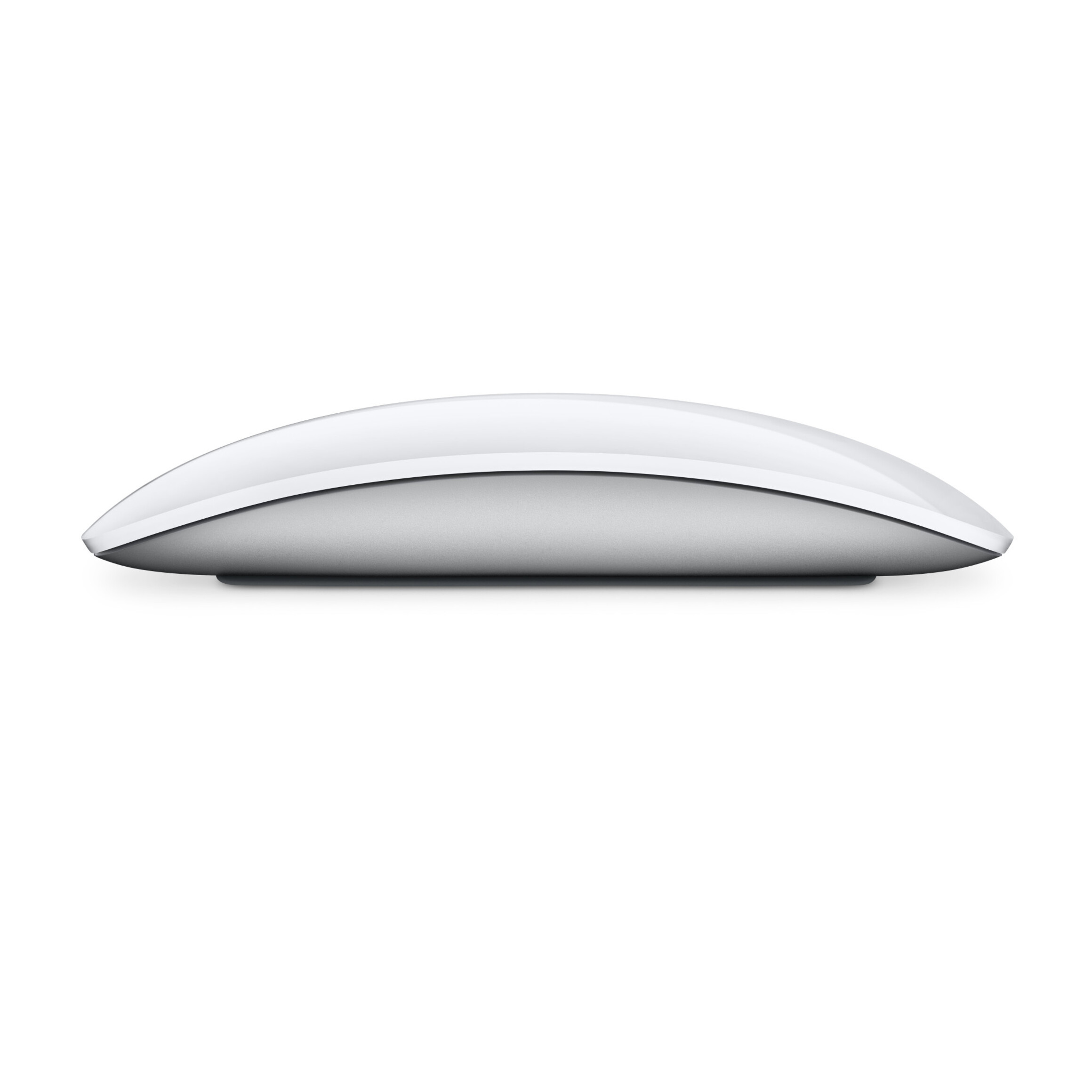 Apple Magic Mouse USB-C Белая 2024 MXK53