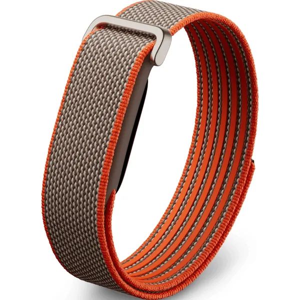 Трекер Google Fitbit Air Коричневый