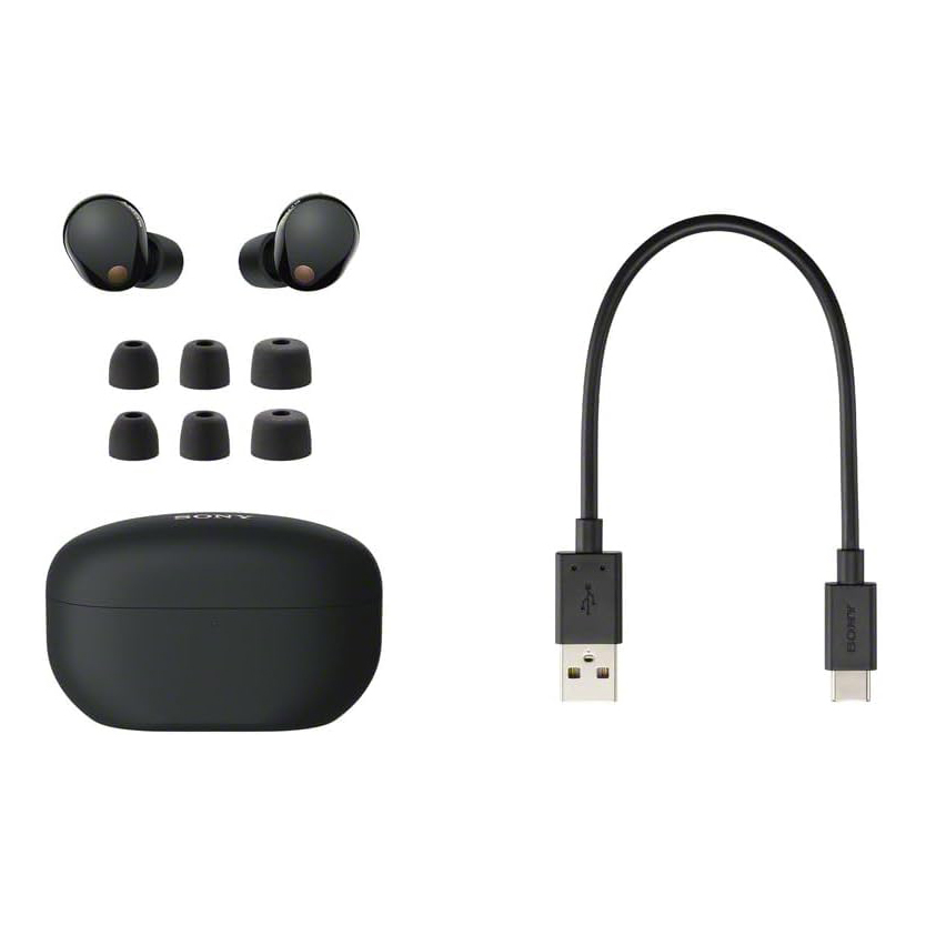 Наушники Sony WF-1000XM5 Черный